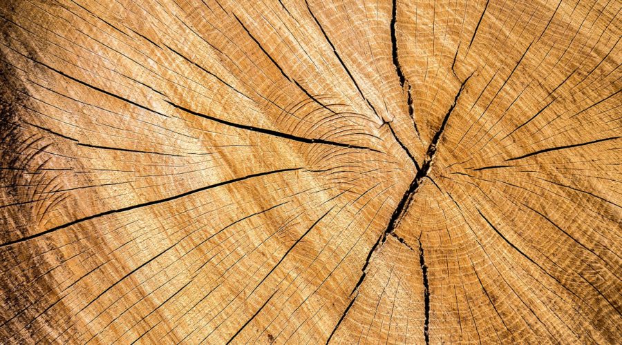 It’s Earth Month: Time to Get Rid of Old Paint and Go Green